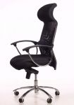 Apollo Bos ergonomiskais krēsls